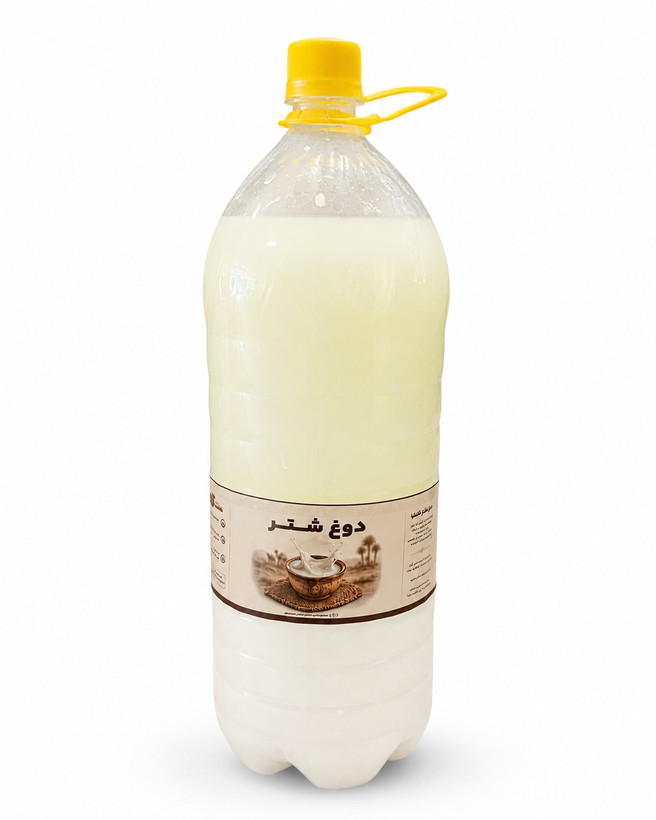 دوغ شتر کاملیا